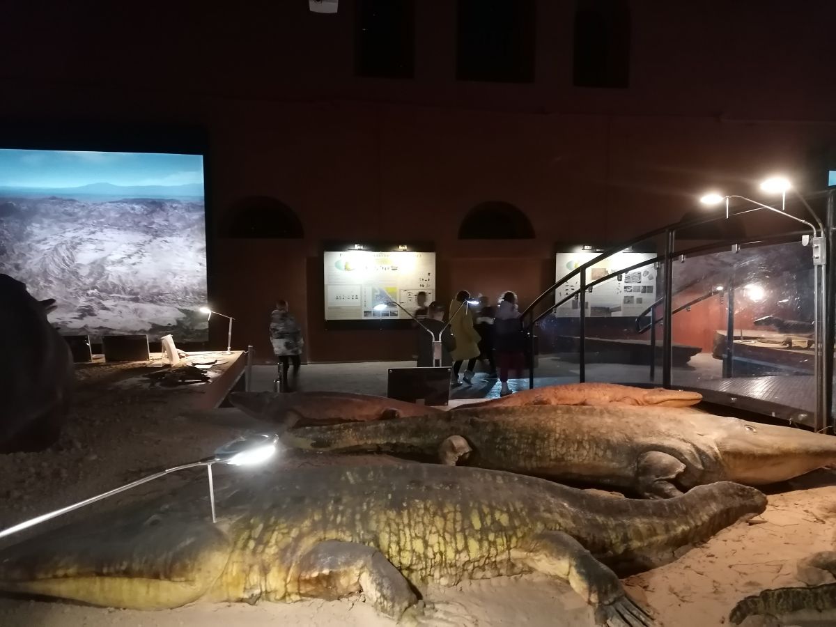 Wycieczka klasy 3a i 2b do Muzeum Przyrody i Techniki "Ekomuzeum" im