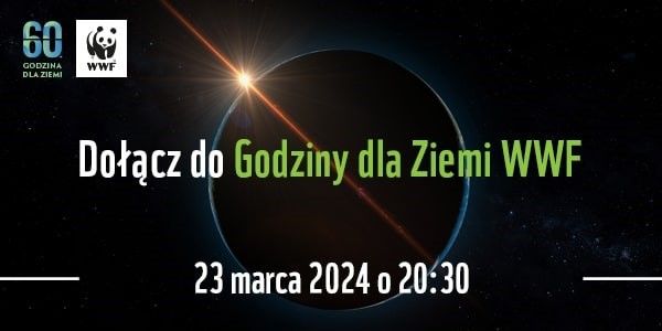 godzina
