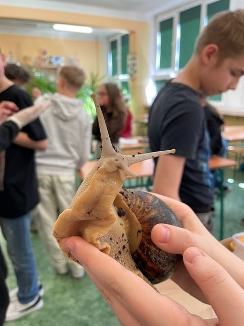 Slimak