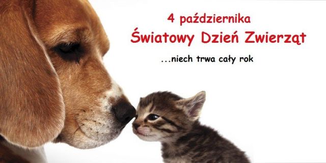 pies i kot