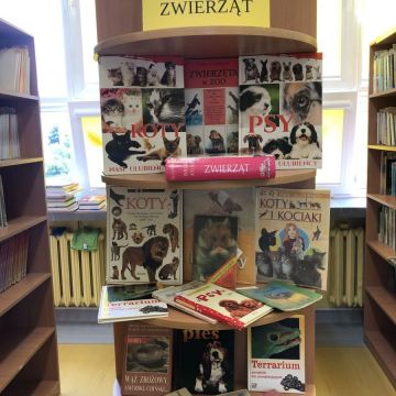 biblioteka