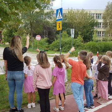 bezpieczny na drodze