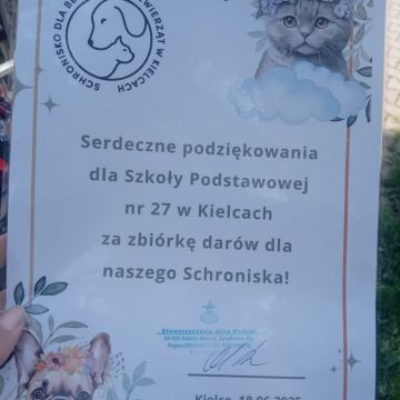 schronisko